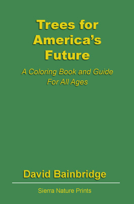 216-BainbridgeTreesforAmericasFuture copy